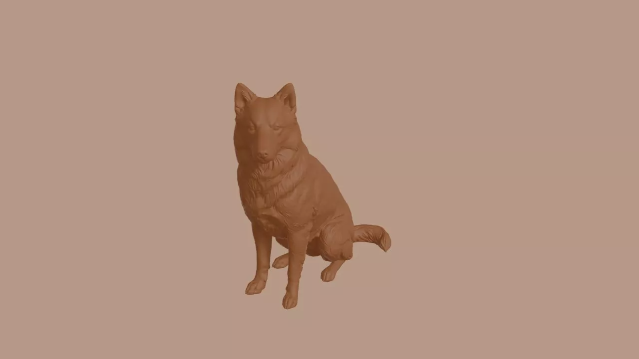 American Eskimo Dog in Sitting Pose 3D print model