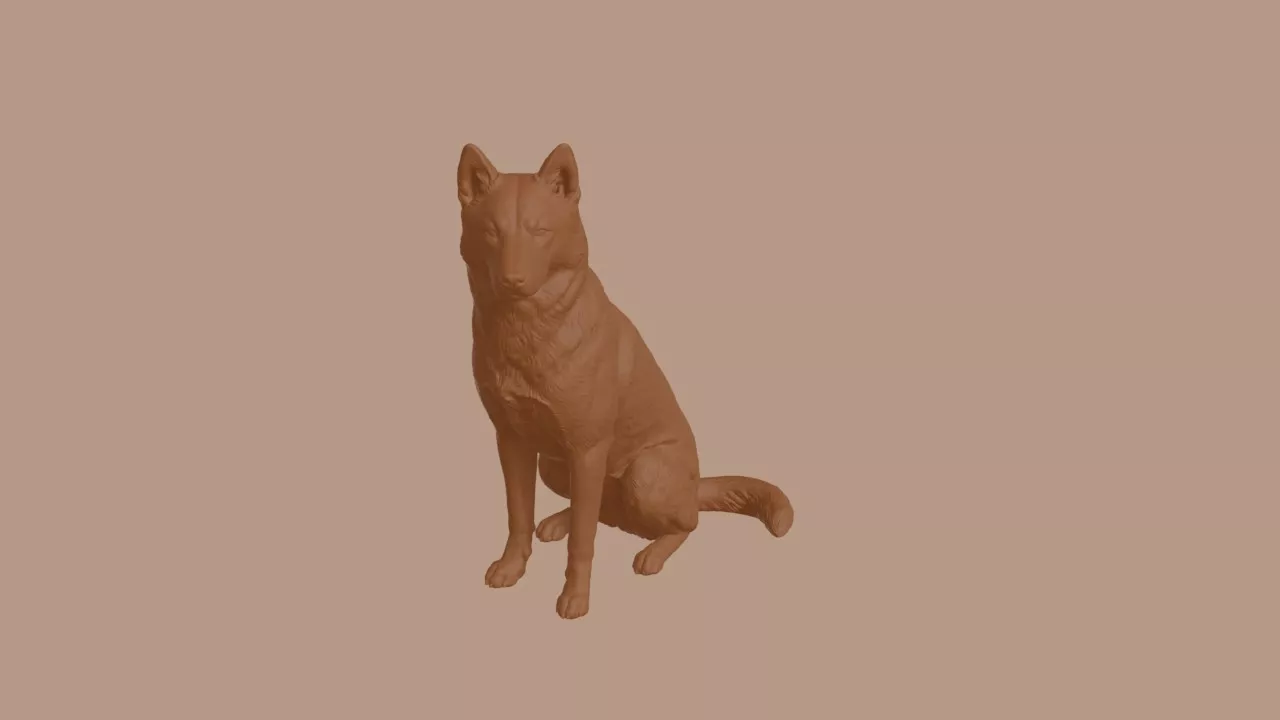 Alaskan Klee Kai Dog in Sitting Pose 3D print model
