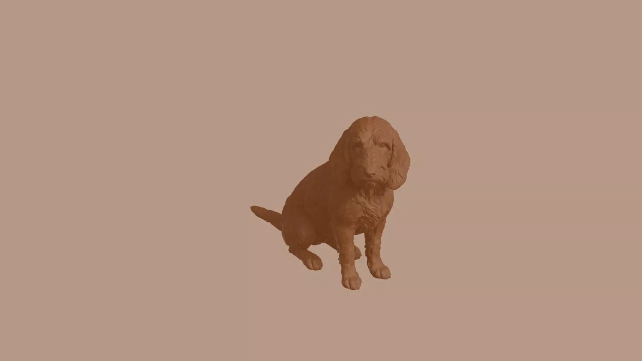Petit Basset Griffon Vendeen Dog in Sitting Pose 3D print model