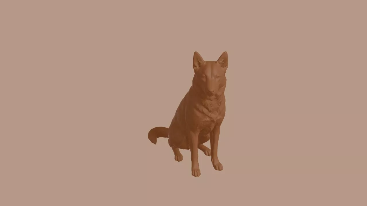 Norrbottenspets Dog in Sitting Pose 3D print model
