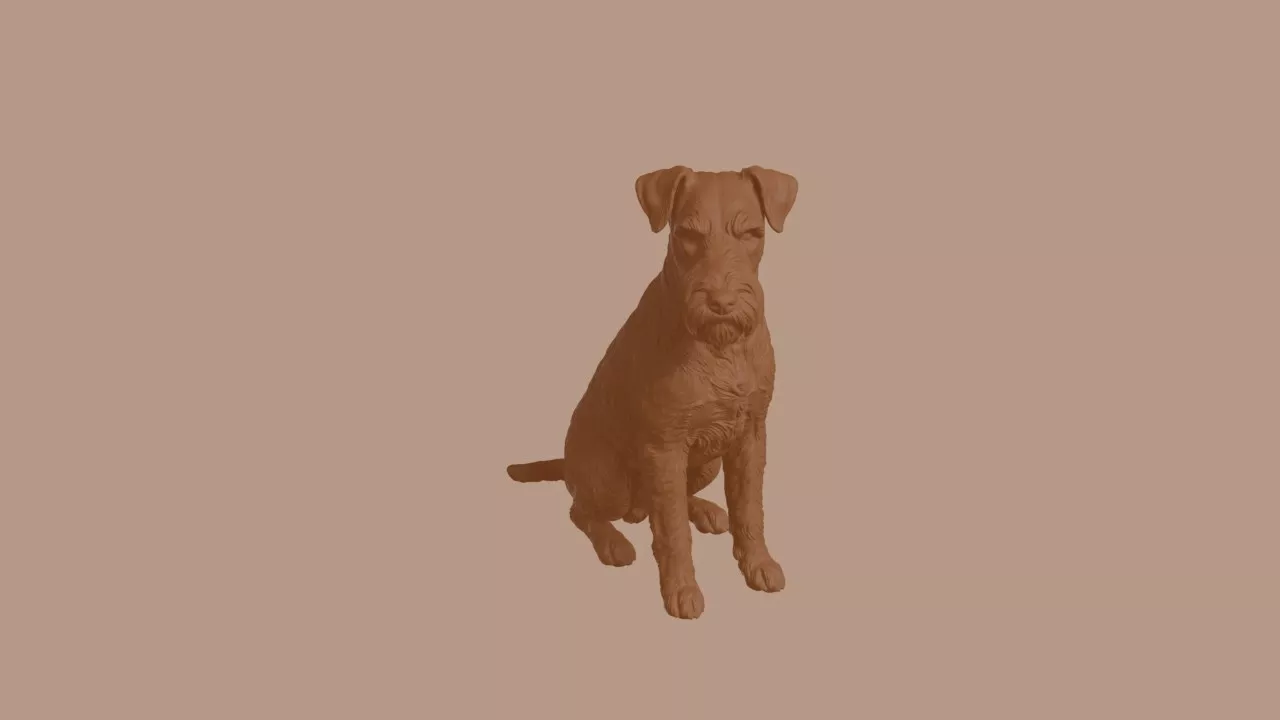 Miniature Schnauzer Dog in Sitting Pose 3D print model