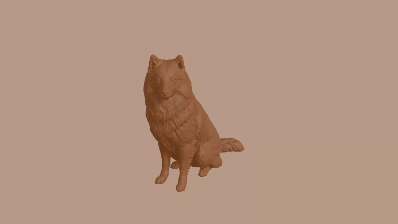 Japanese Spitz Dog in Sitting Pose 3D print model
