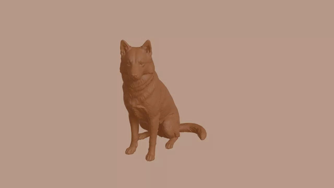 Indian Spitz Dog in Sitting Pose 3D print model