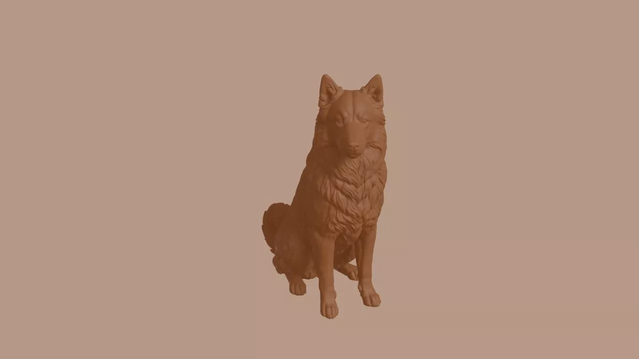 Icelandic Sheepdog in Sitting Pose 3D print model
