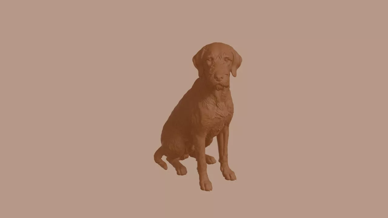 Griffon Fauve de Bretagne Dog in Sitting Pose 3D print model