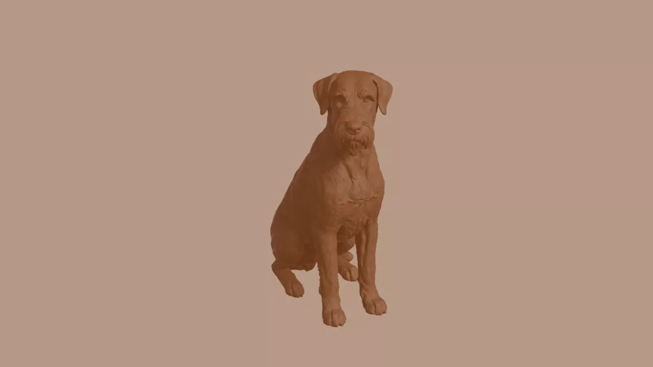 Giant Schnauzer Dog in Sitting Pose 3D print model