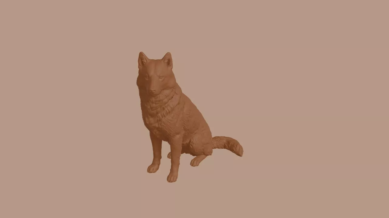 Finnish Spitz Dog in Sitting Pose 3D print model