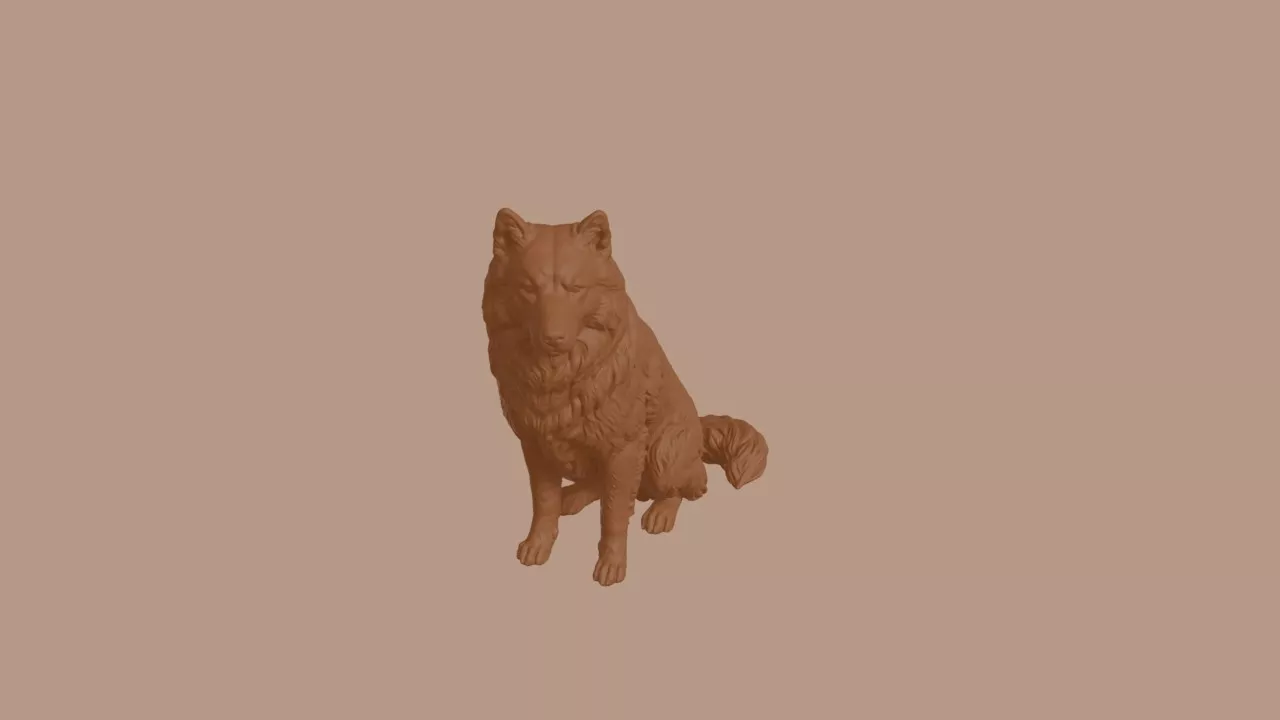 Finnish Lapphund Dog in Sitting Pose 3D print model