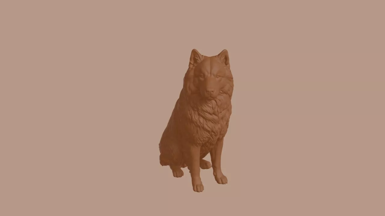 Eurasier Dog in Sitting Pose 3D print model