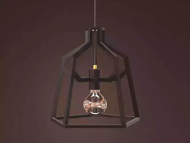 Skeleton pendant light with metal frame