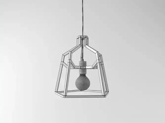 Skeleton pendant light with metal frame