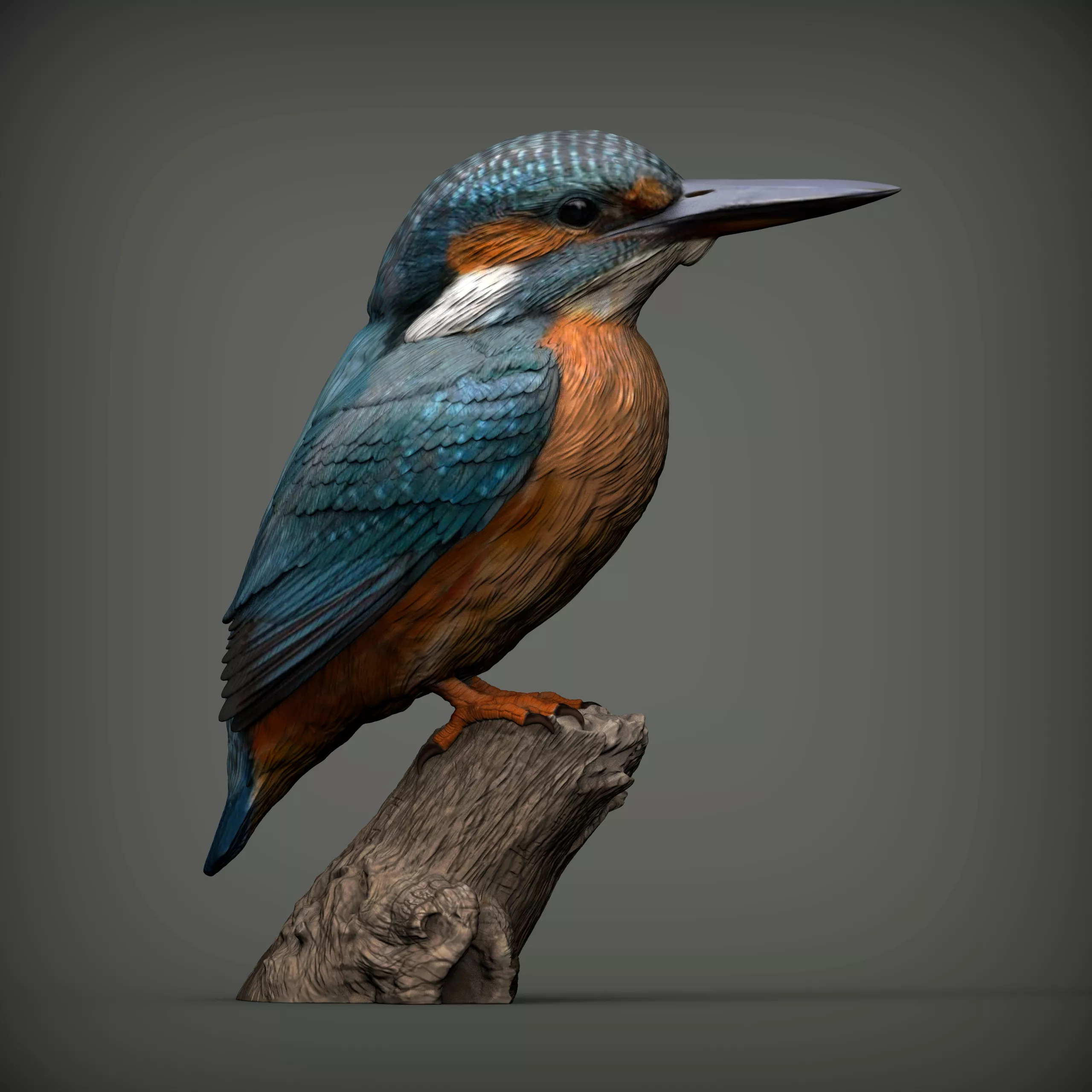 Kingfisher Bird 3D Model Realistic Common Kingfisher Sculpture 3D print model