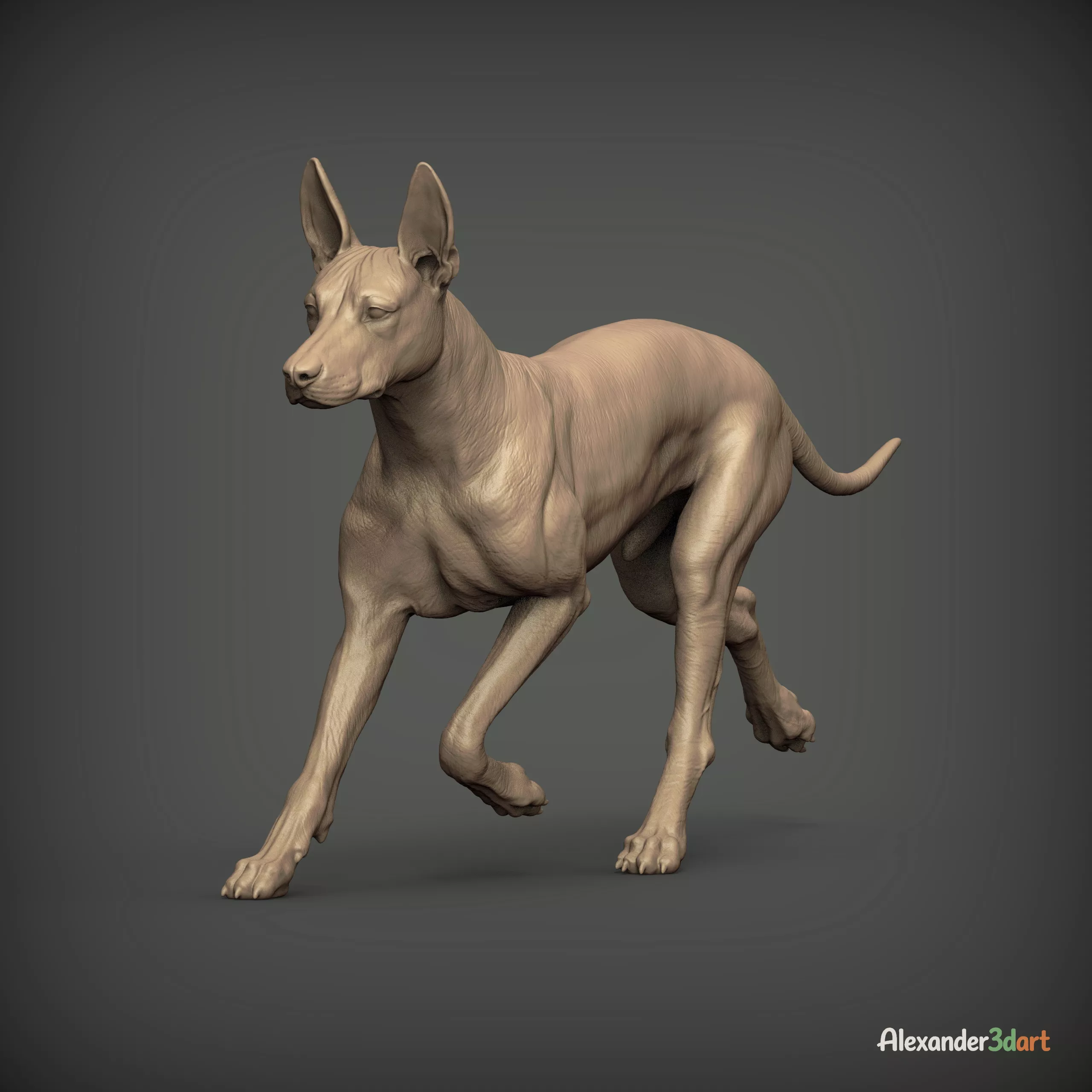 Xoloitzcuintli Running Realistic 3D Printable Dog 3D print model