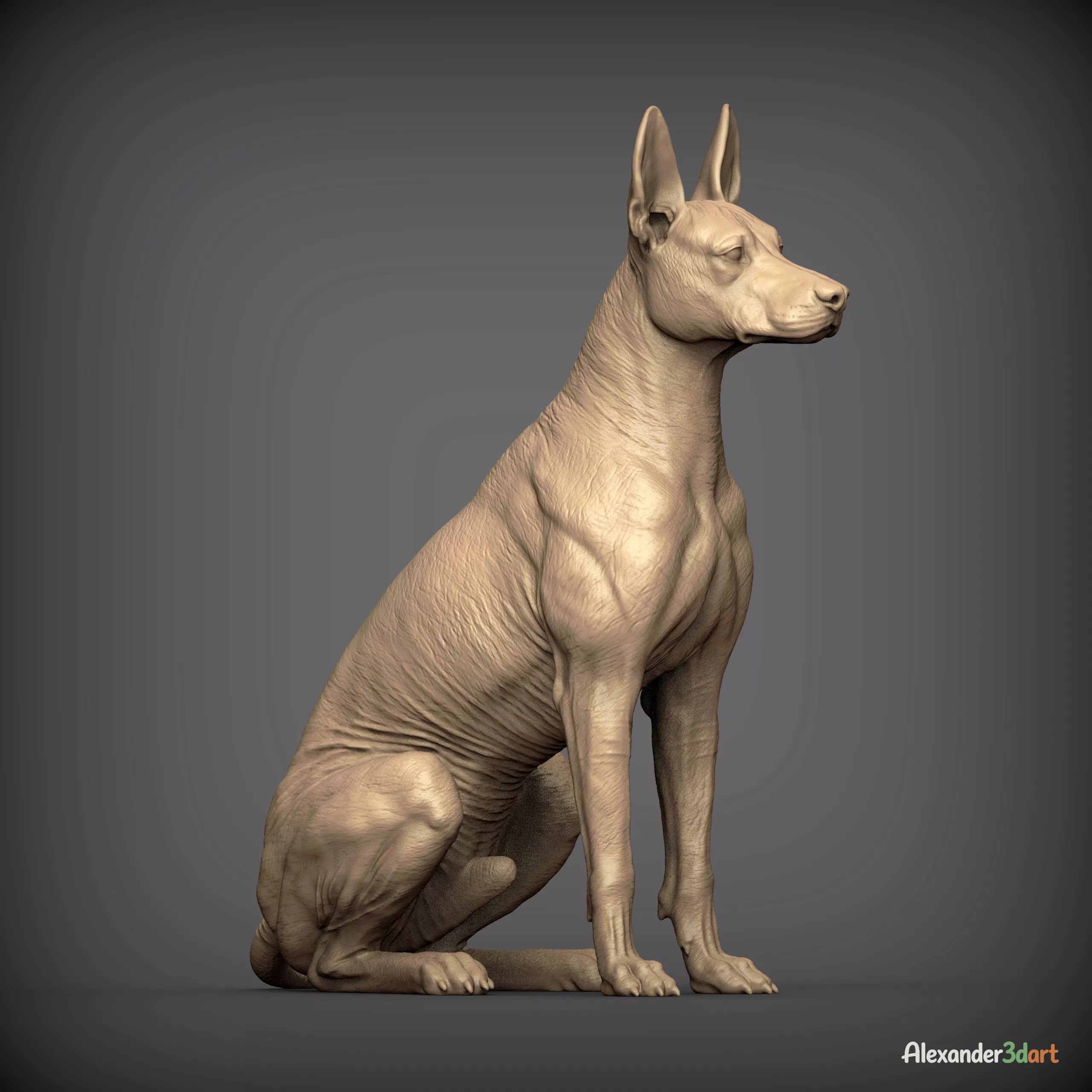 Xoloitzcuintli Sitting Realistic 3D Printable Dog 3D print model