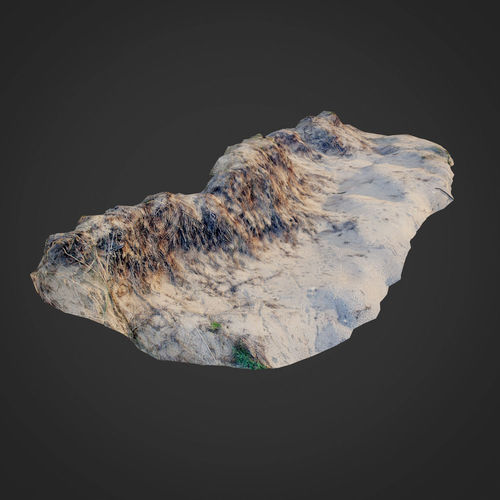 nature ground edge 001 3D model