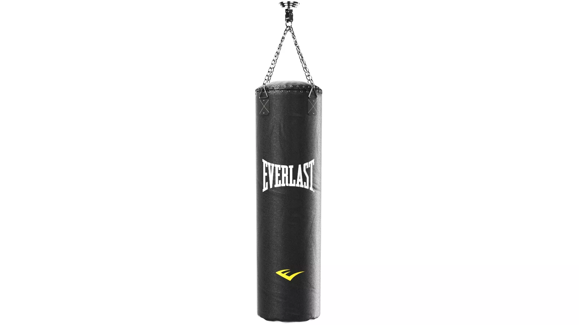 Everlast Heavy Punching Boxing Bag 3D model