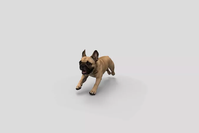  Realistic FrenchBulldog Running Dog 3D Model