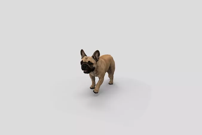  Realistic FrenchBulldog Walking Dog 3D Model