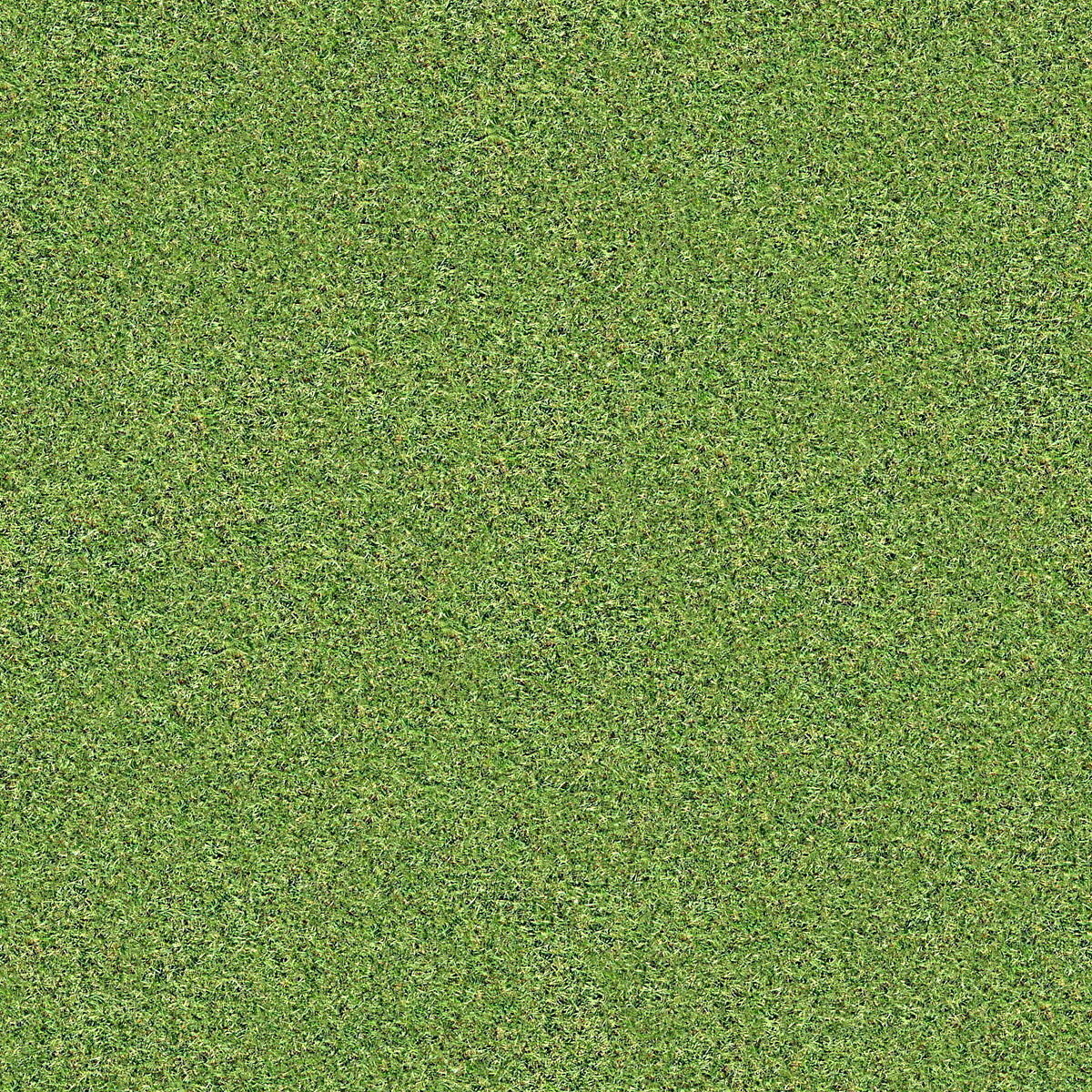 house small villa Low-poly 3D model_6