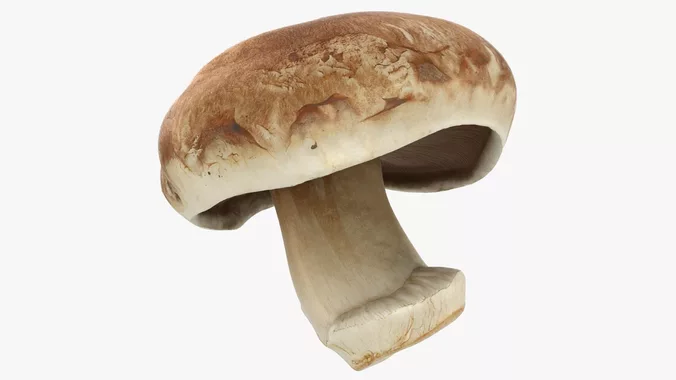 Whole Portobello Mushroom