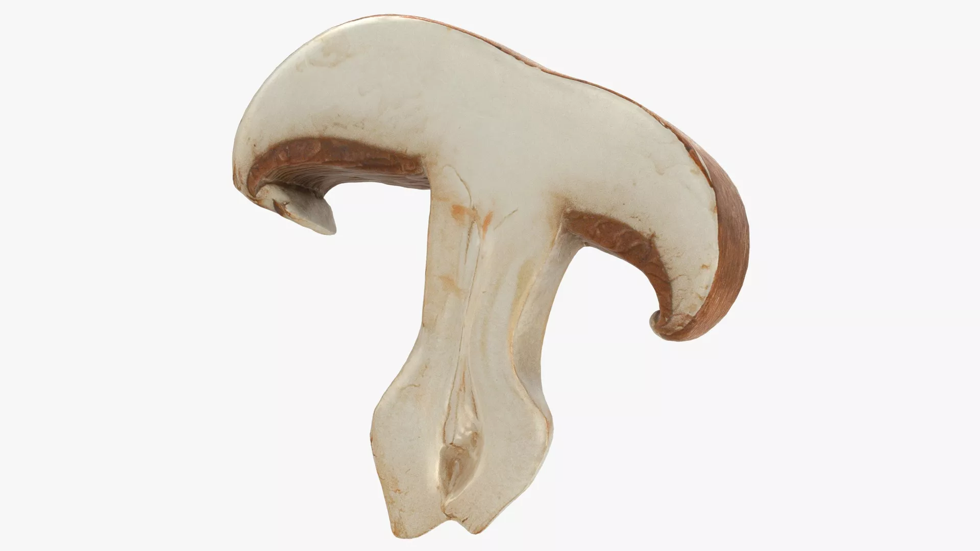Portobello Mushroom Slice Low-poly 3D model