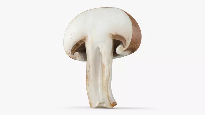Mushroom Swiss Brown Half