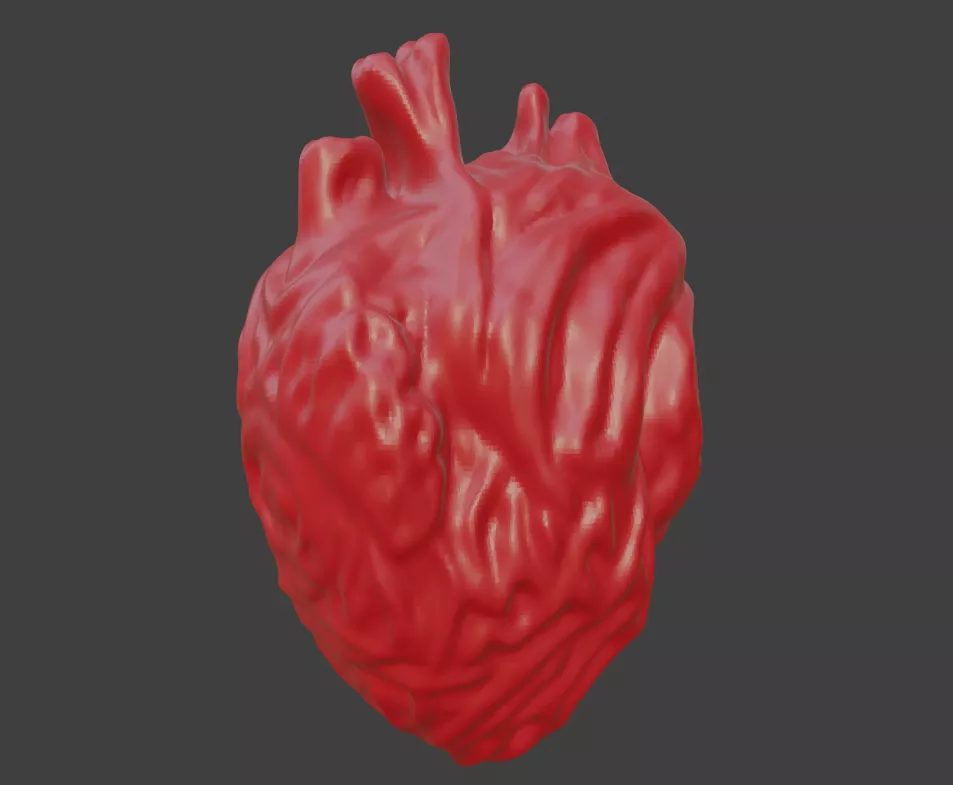 HUMAN HEART 3D print model