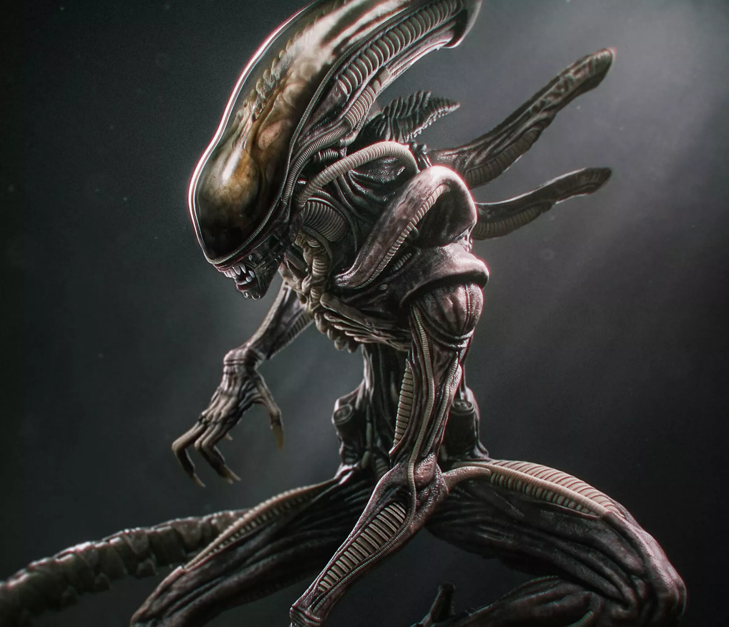 Alien Xenomorph 3D Print Model 3D print model