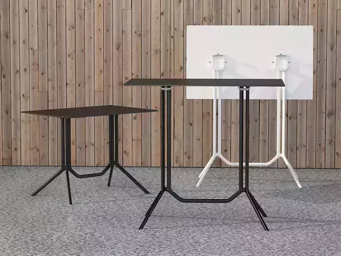 Poule Double 3D model