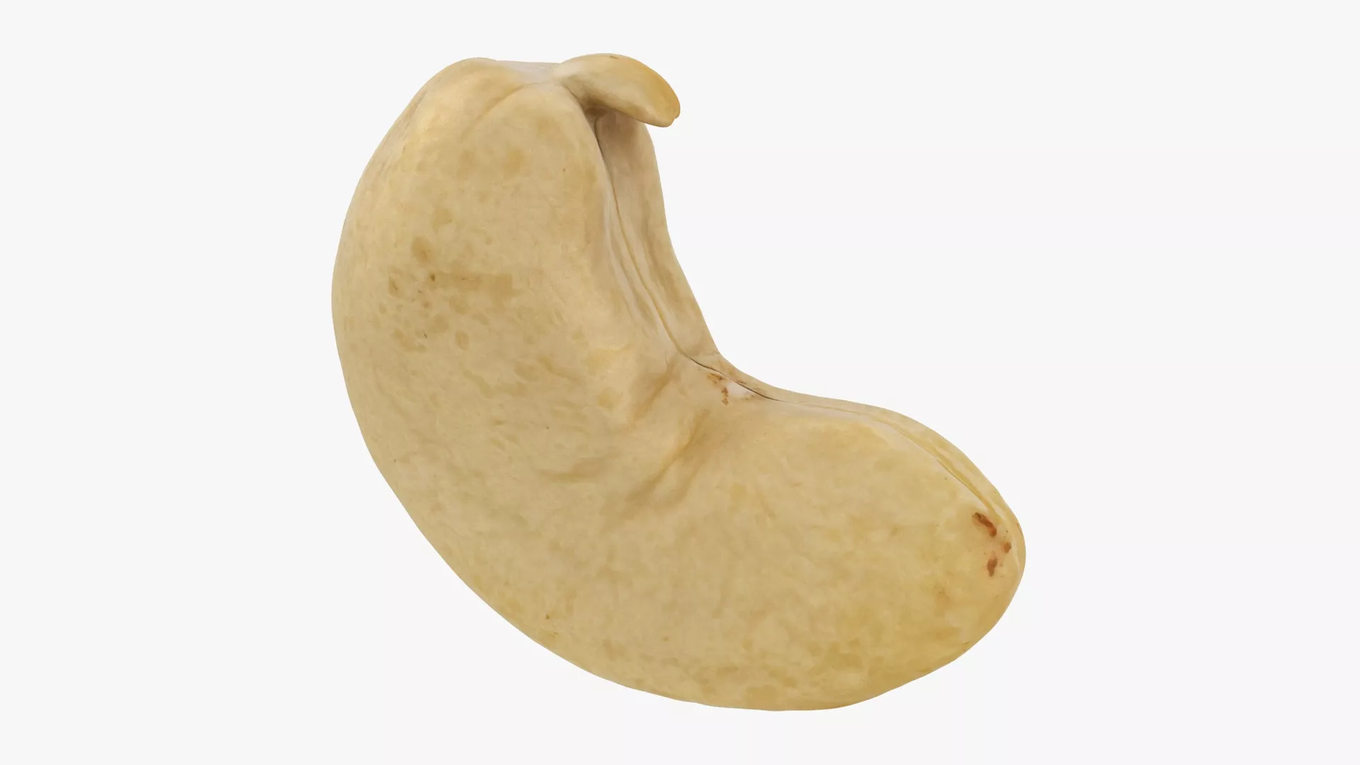 Raw Cashew Low-poly 3D model