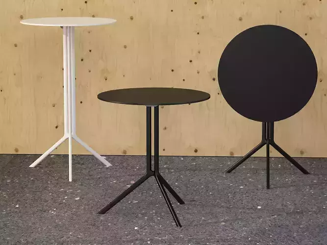 Poule Round 3D model