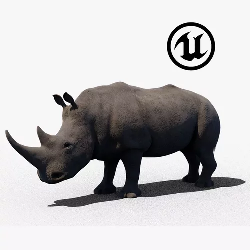 Rhinoceros - Game-ready - UE Engine
