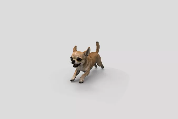  Realistic Chihuahua Running Dog 3D Model