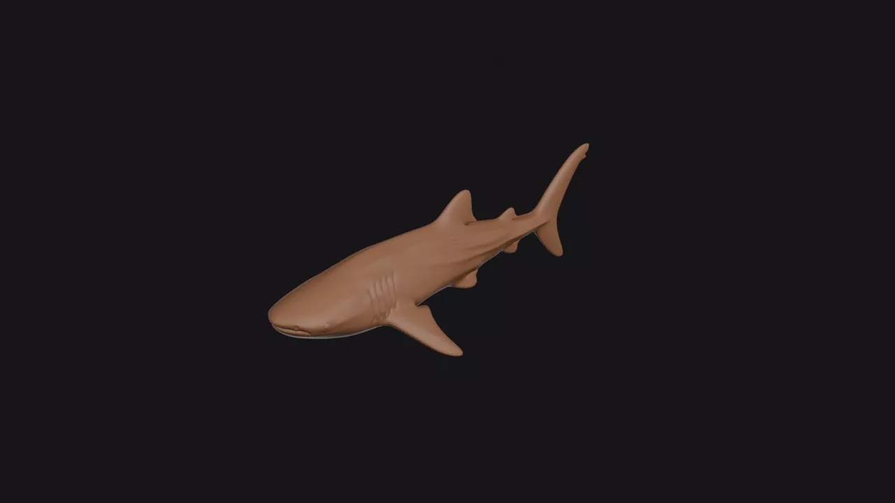 Whale Shark 3D print model