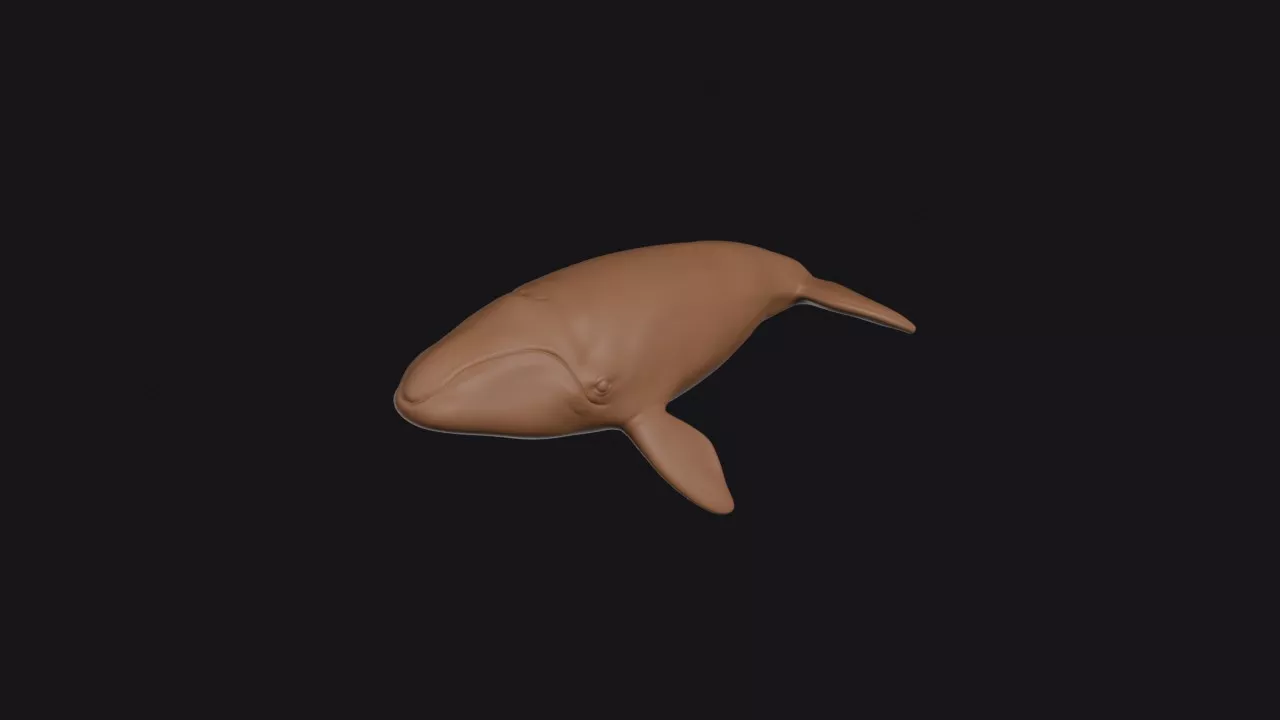 Right Whale 3D print model
