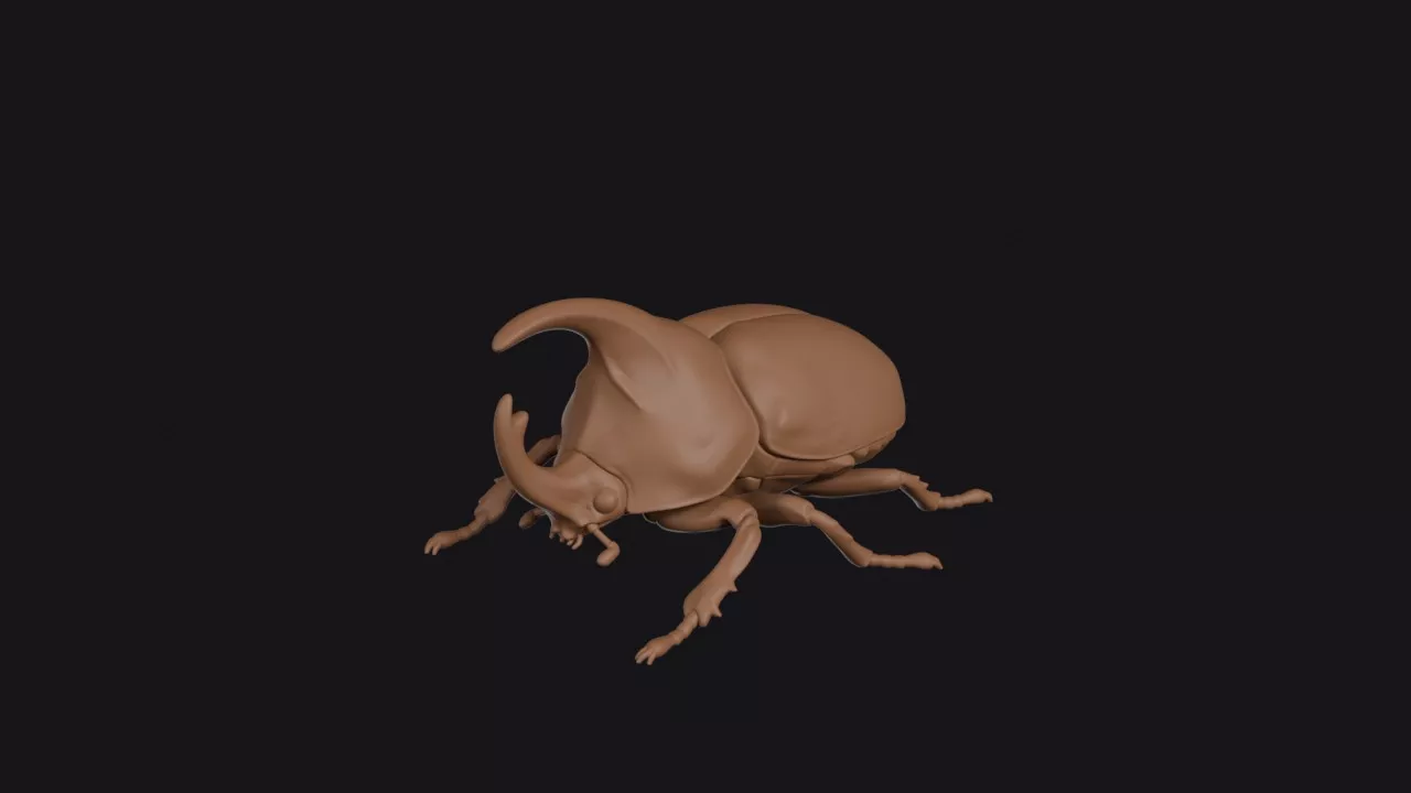 Rhinoceros Beetle 3D print model
