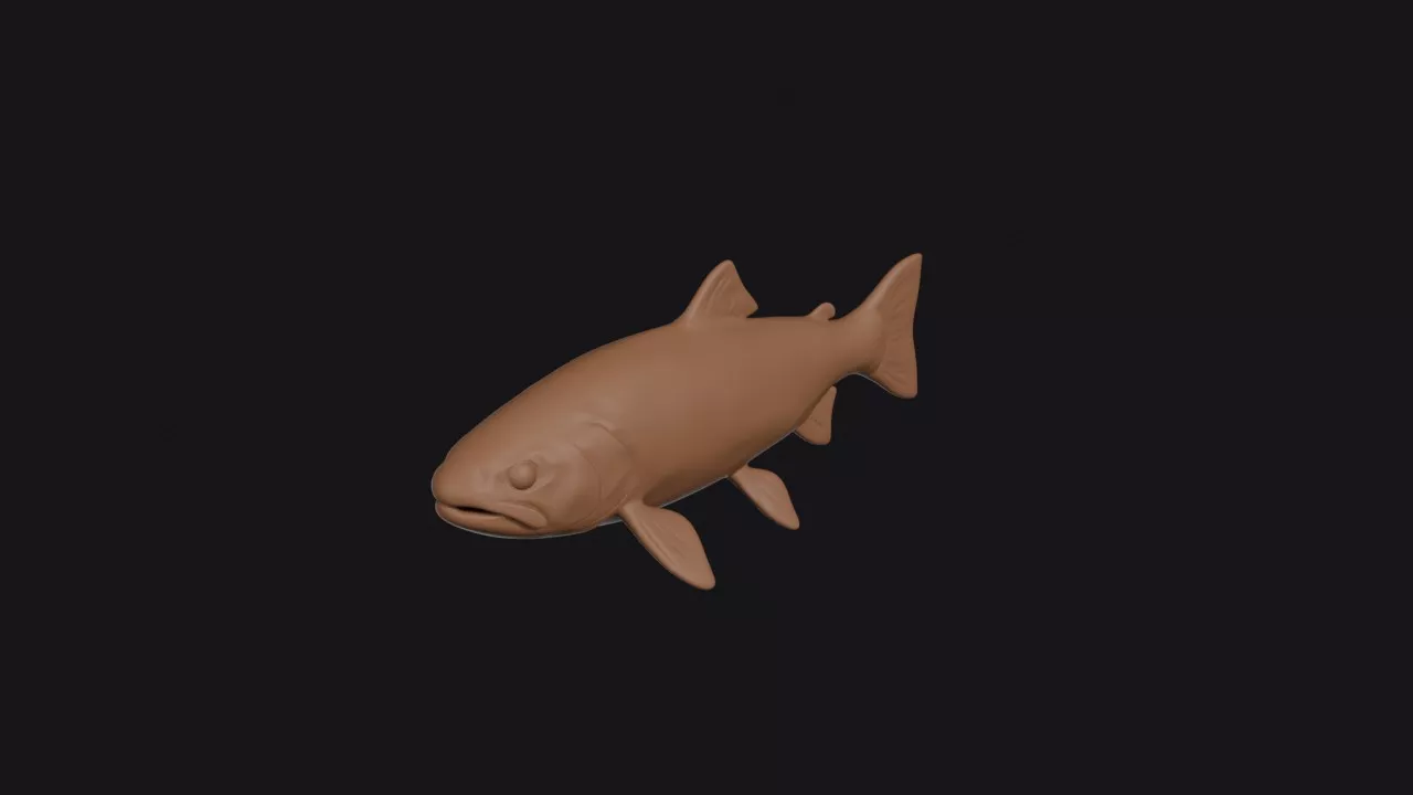Rainbow Trout 3D print model