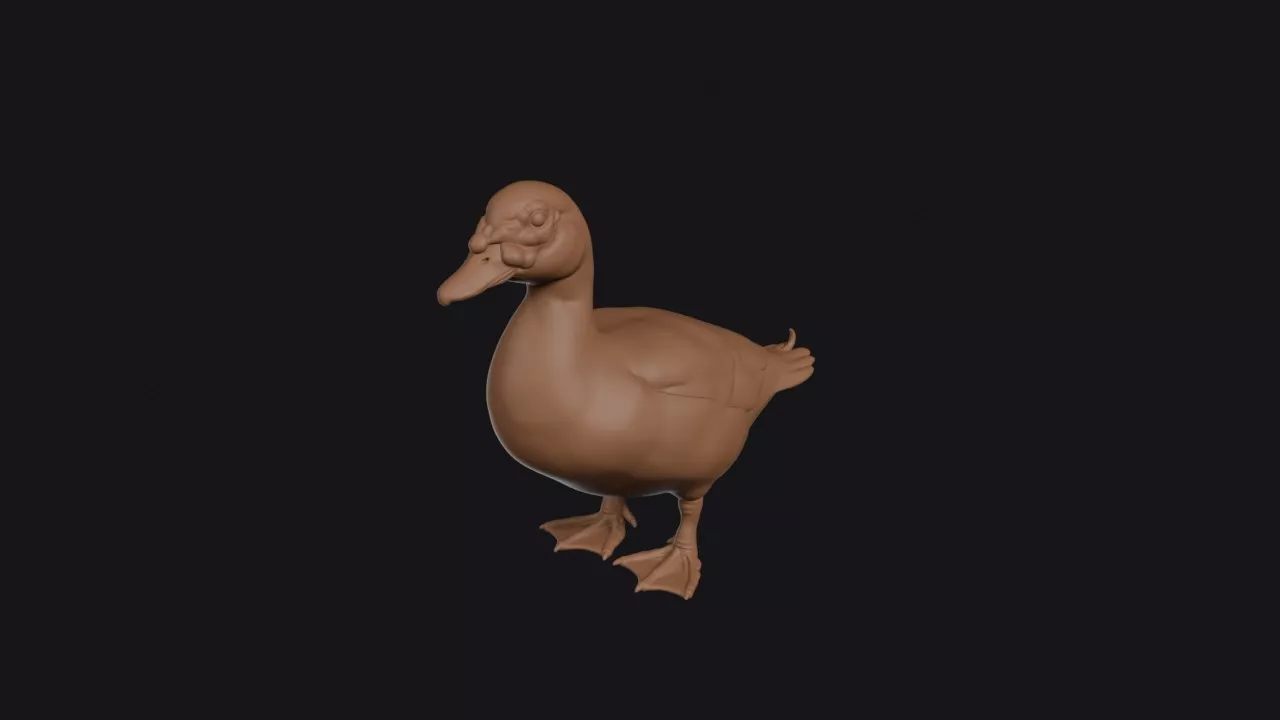 Muscovy Duck 3D print model