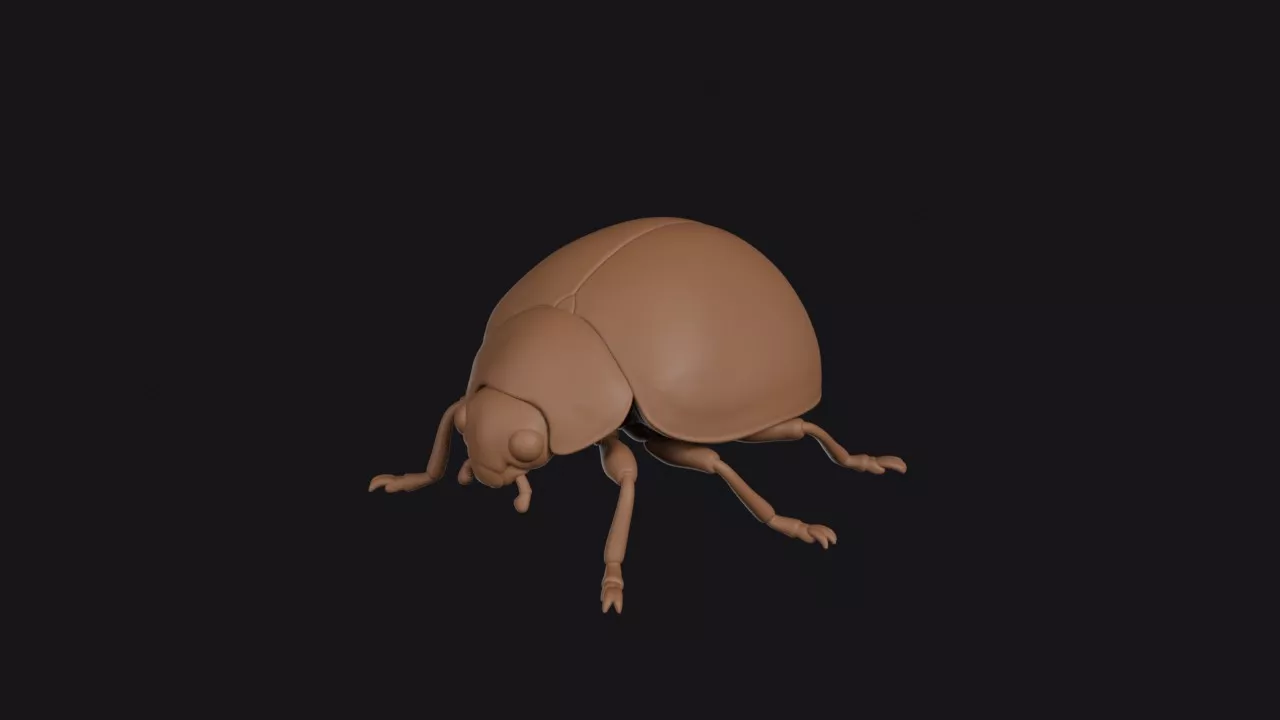 Ladybug 3D print model