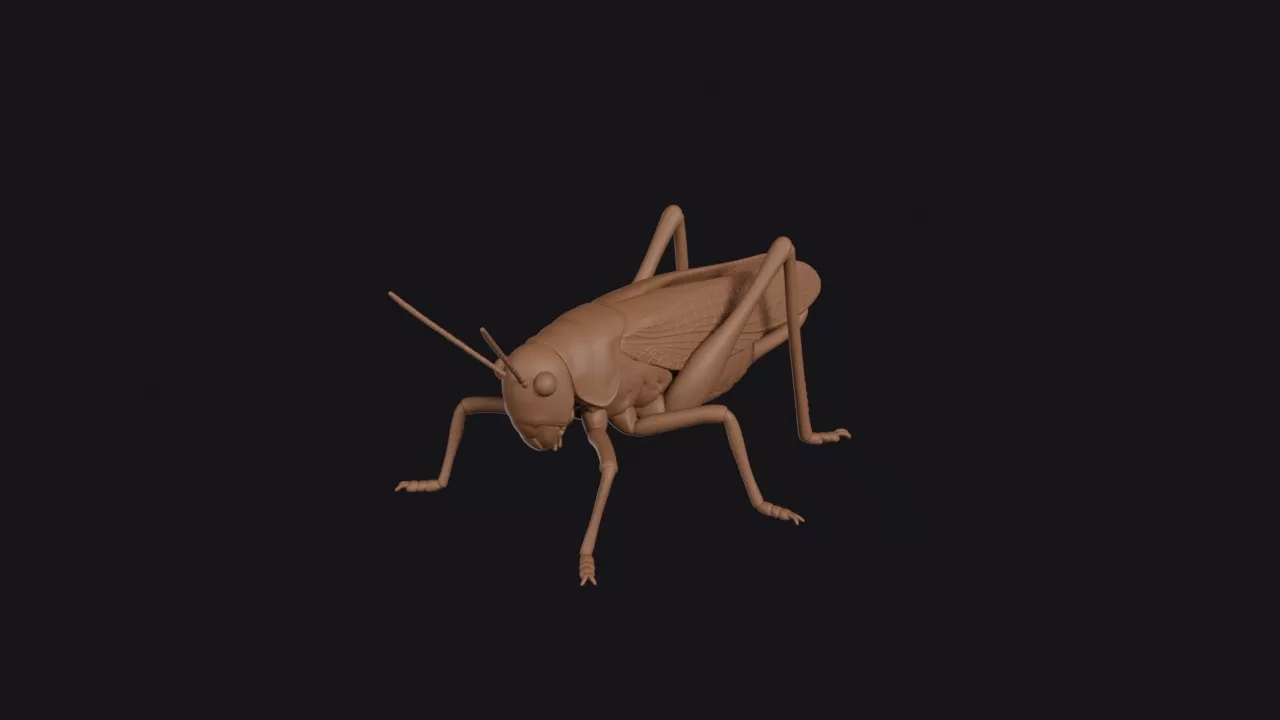 Katydid 3D print model