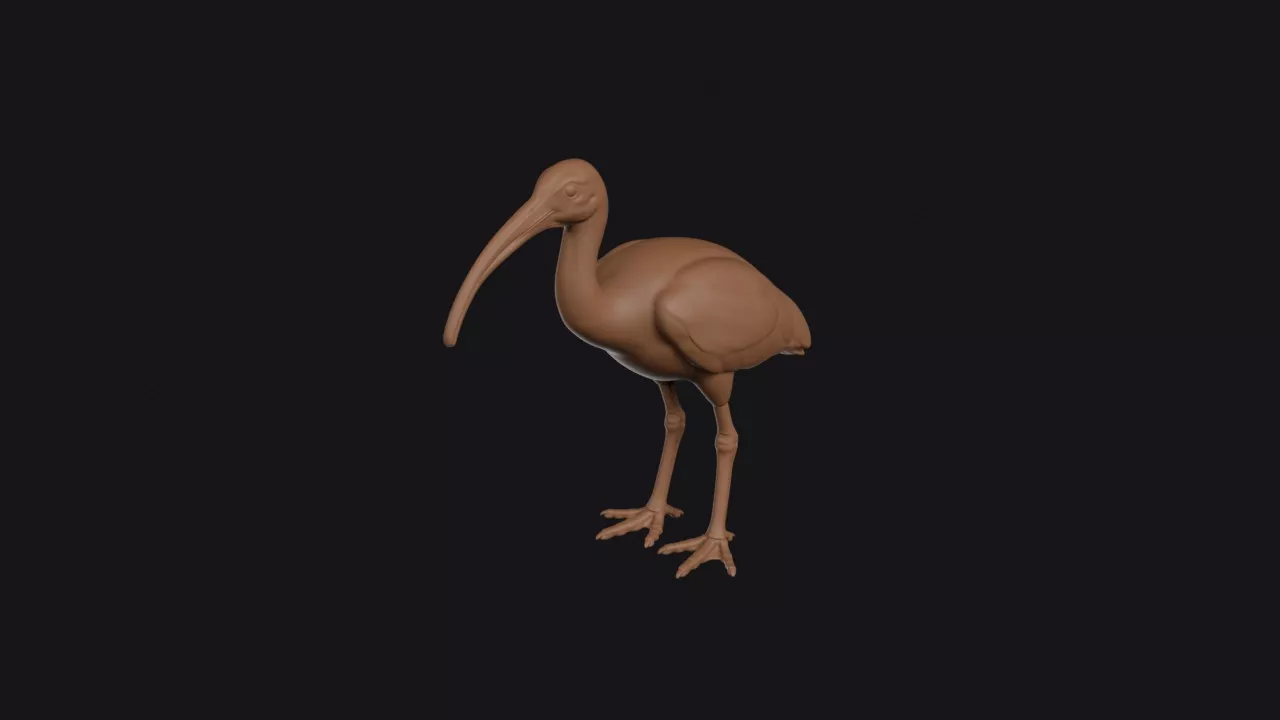 Ibis Figurine 3D print model