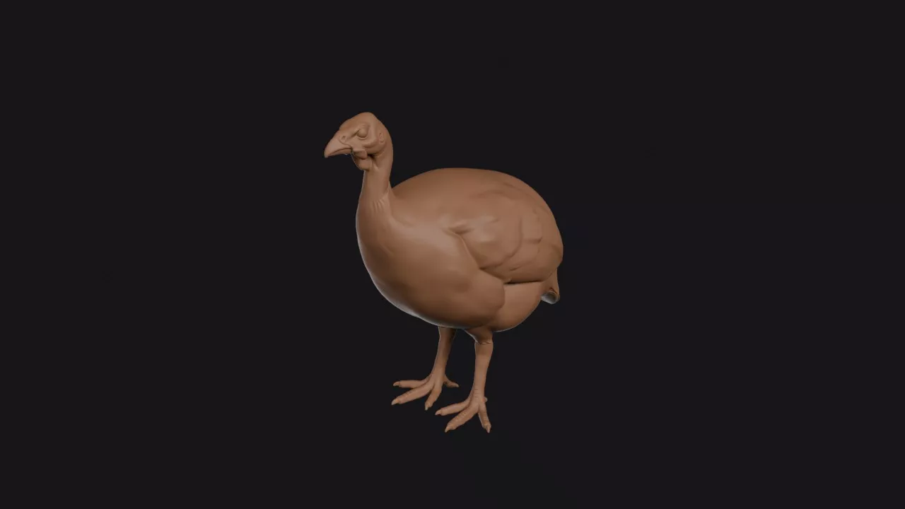 Guinea Fowl 3D print model