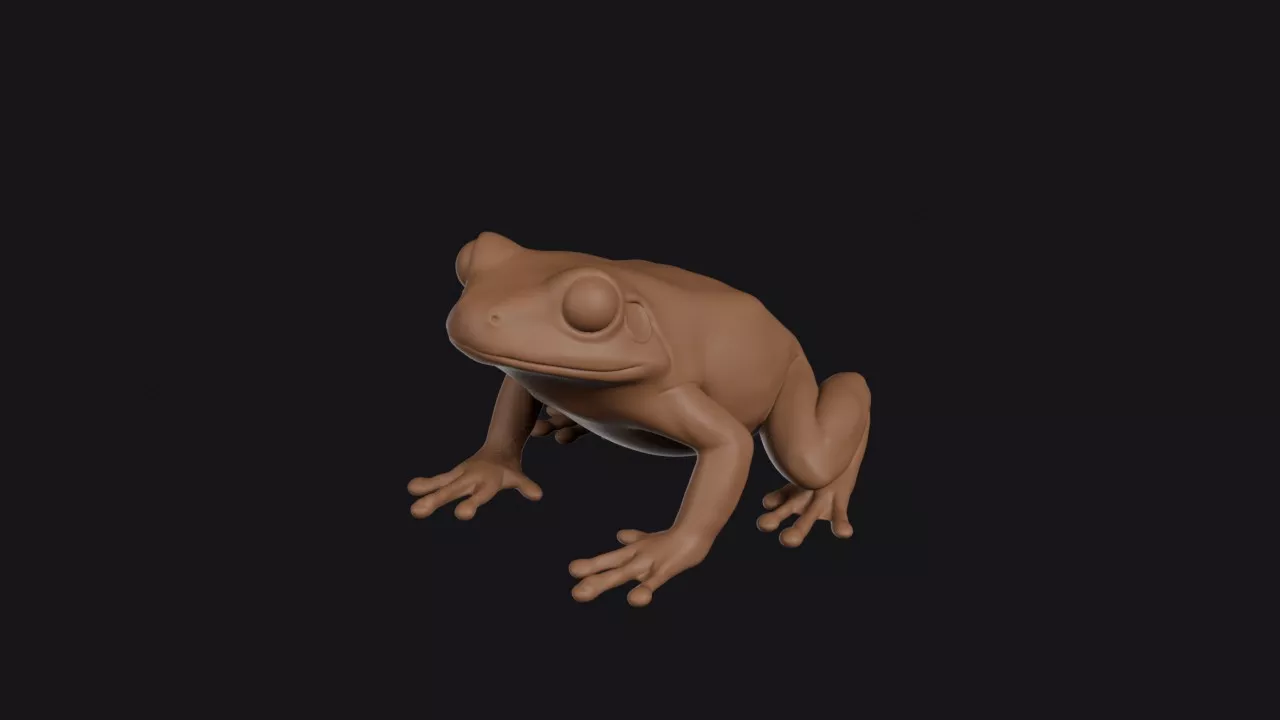 Glass Frog 3D print model