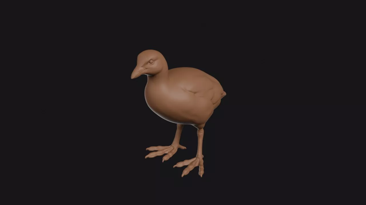 Coot Figurine 3D print model
