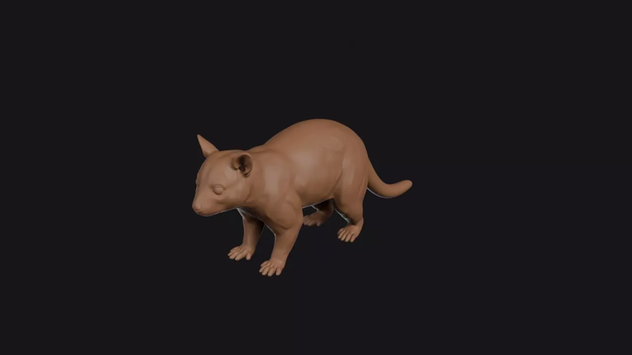 Brushtail Possum 3D print model