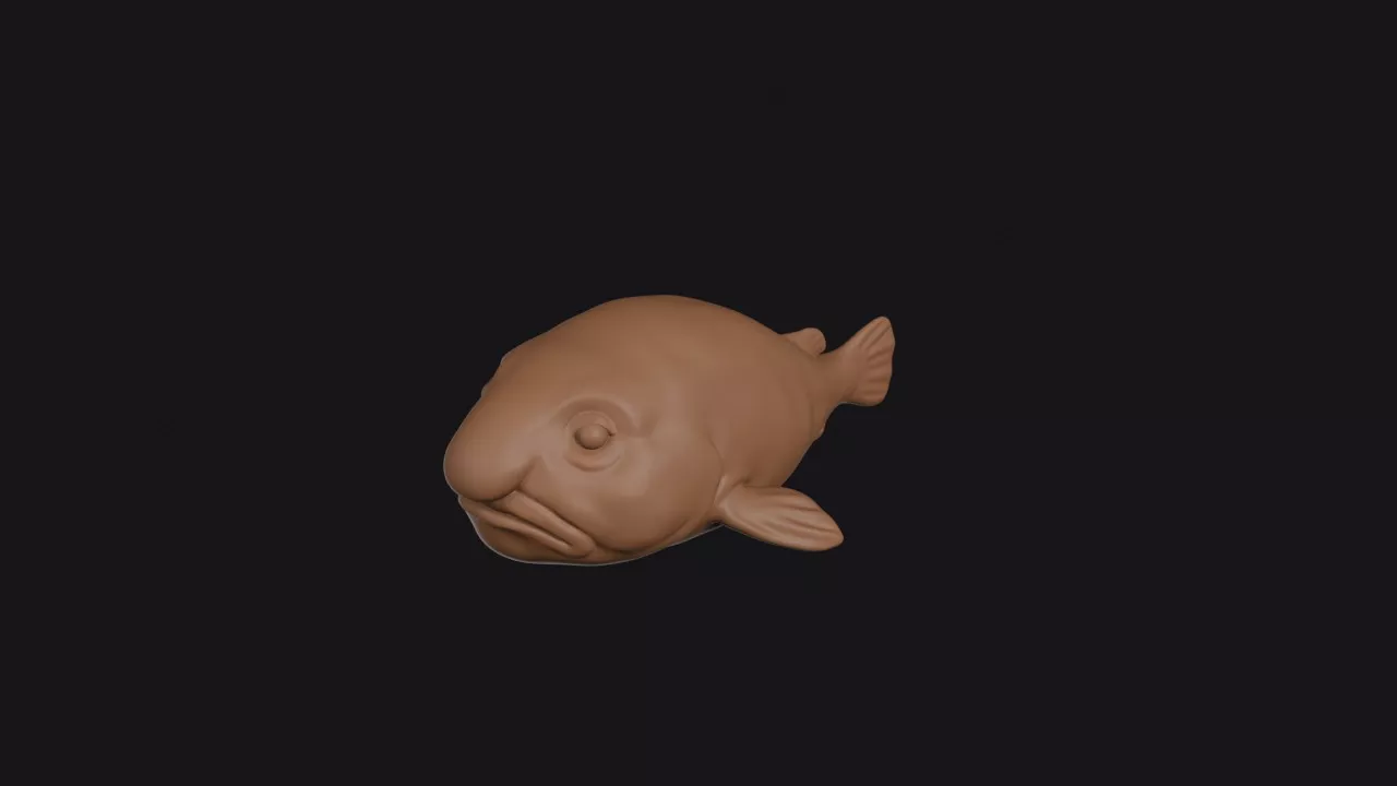 Blobfish 3D print model