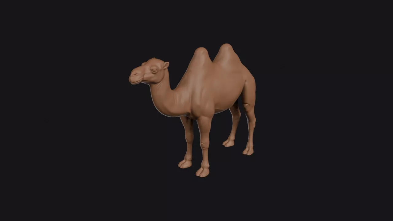 Bactrian Camel 3D print model