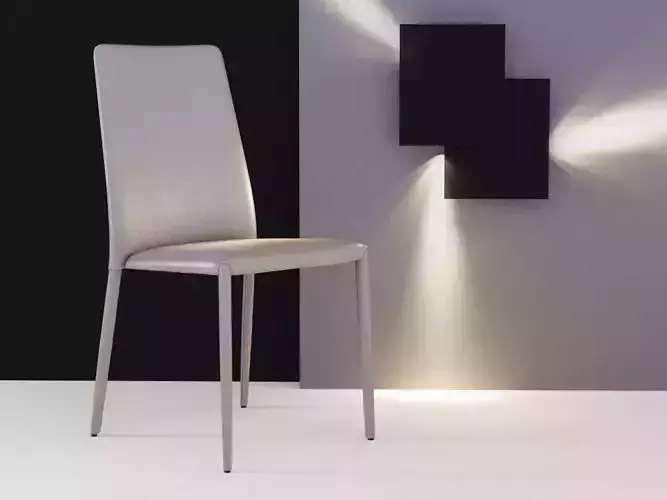 Eral modern dining chair