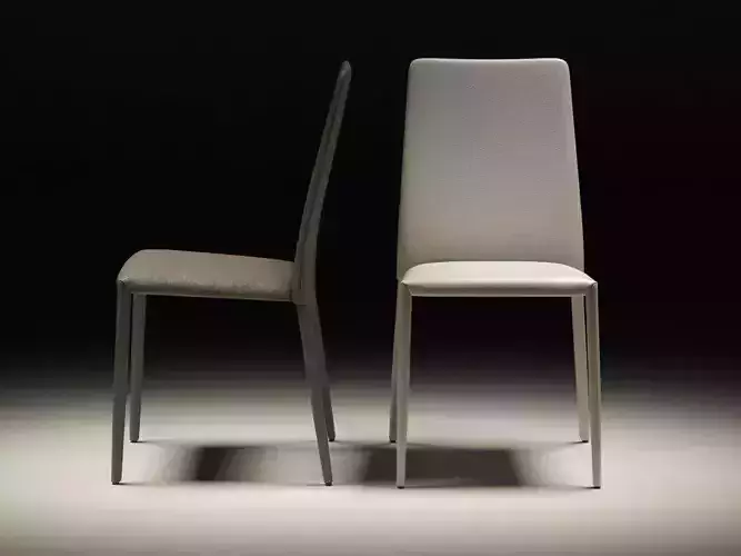 Eral modern dining chair 3D model