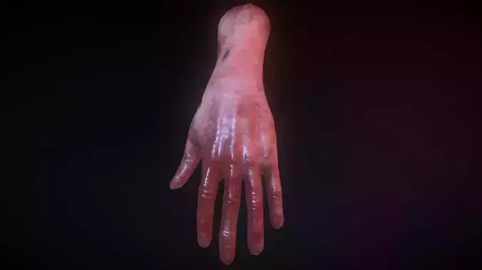 VR Hands I 32 Variations I I PBR I I Optimized I Low-poly 3D model